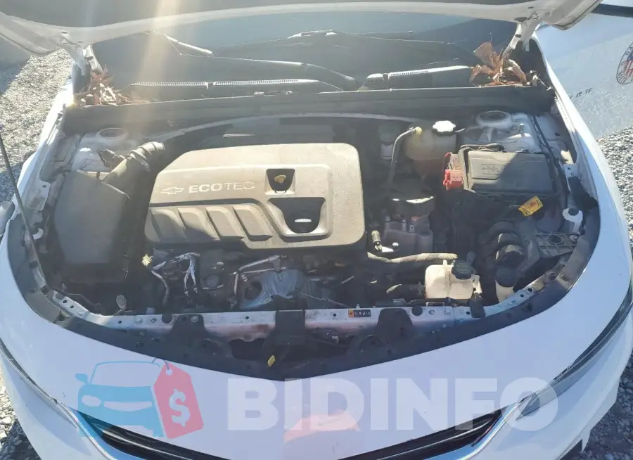 1G1ZF5SU6JF221516 Photo# 11