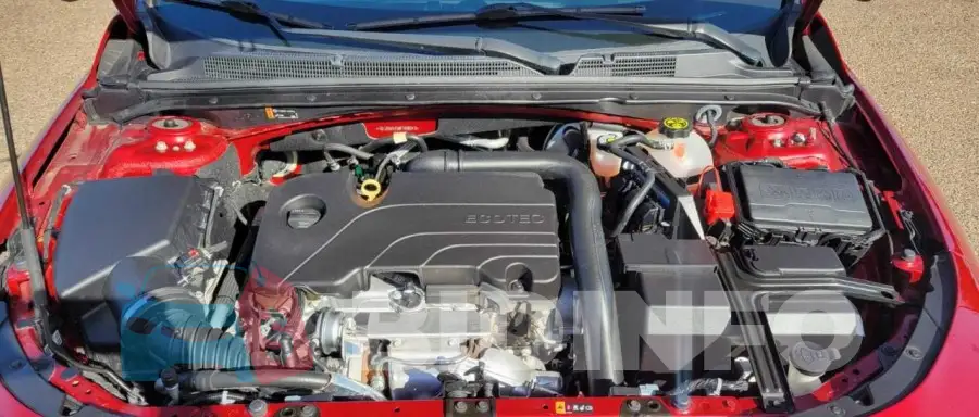 1G1ZG5ST5MF058043 Photo# 7