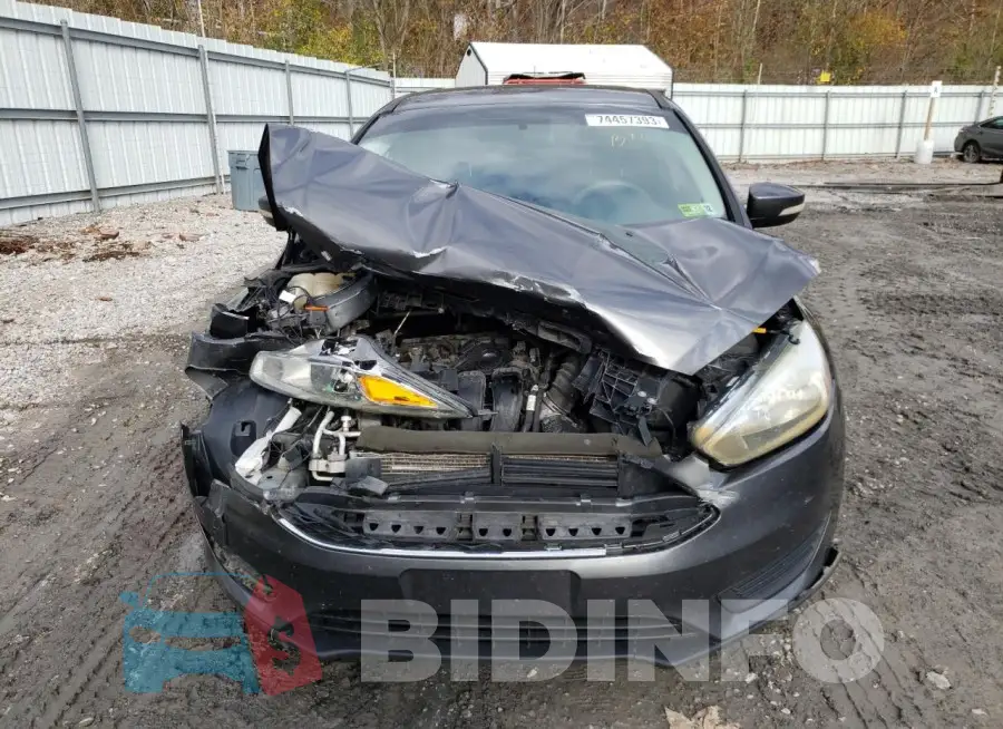 1FADP3F26GL237419 Photo# 5