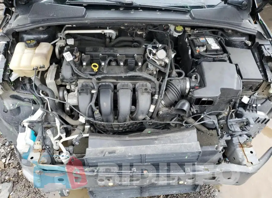 1FADP3F26GL326875 Photo# 11