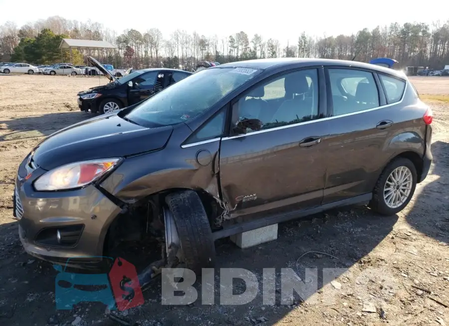 1FADP5CU2FL115396 Photo# 1
