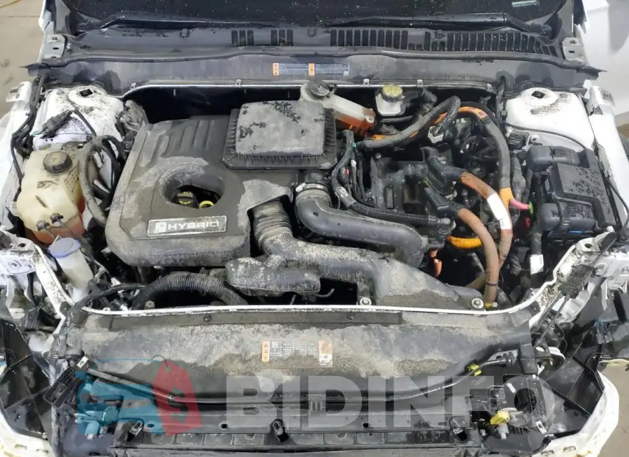 3FA6P0LUXKR187468 Photo# 11