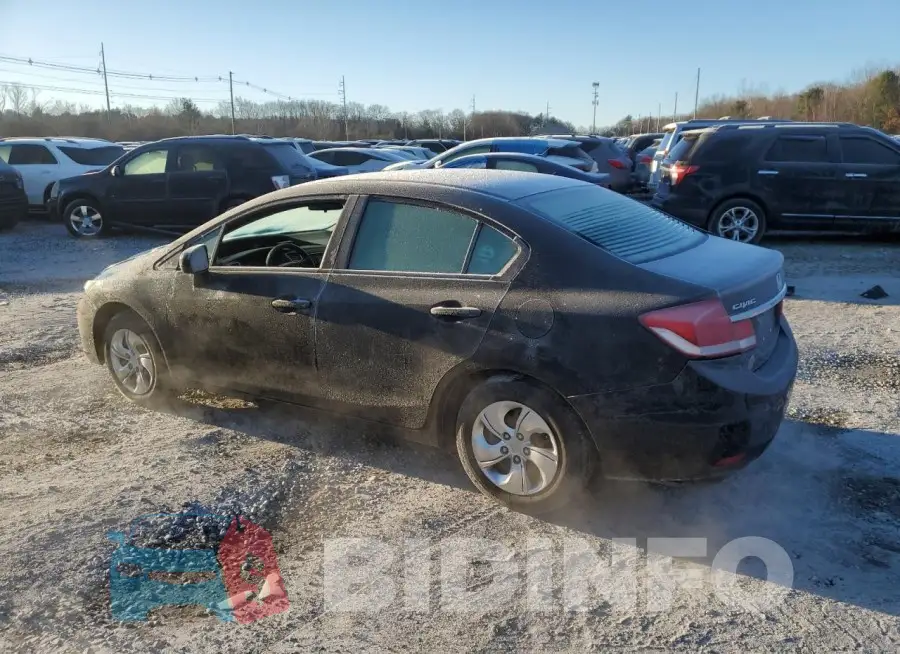 19XFB2F51FE292468 Photo# 2