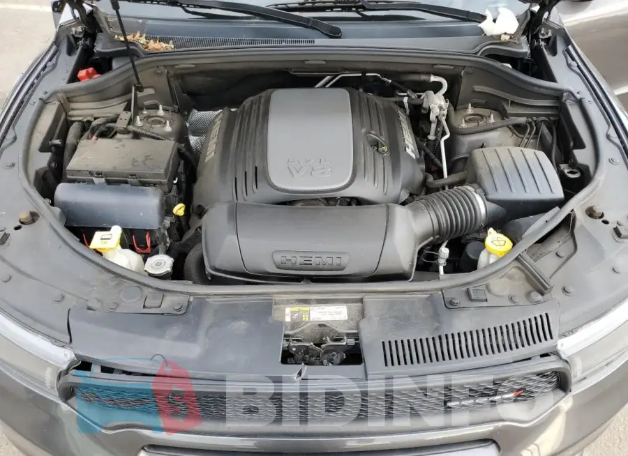 1C4SDJCT9JC474313 Photo# 12
