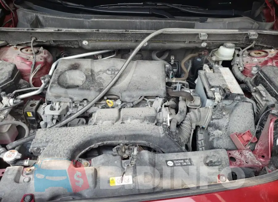 JTMP1RFV3KD507117 Photo# 12