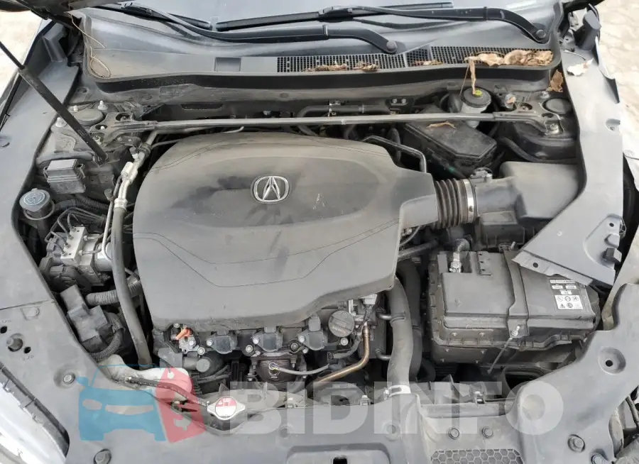 19UUB2F32GA003755 Photo# 11