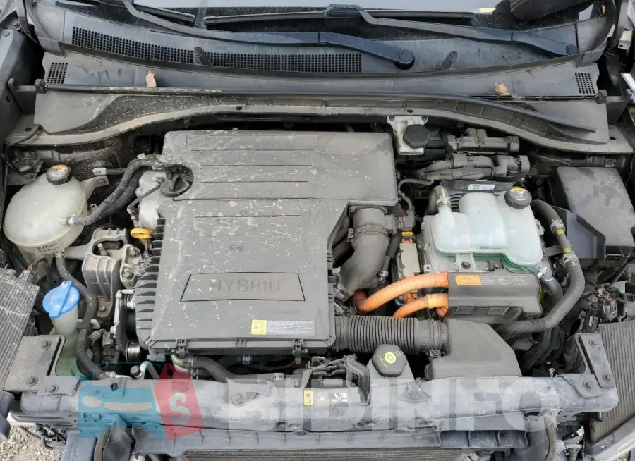 KNDCE3LC5H5050445 Photo# 11