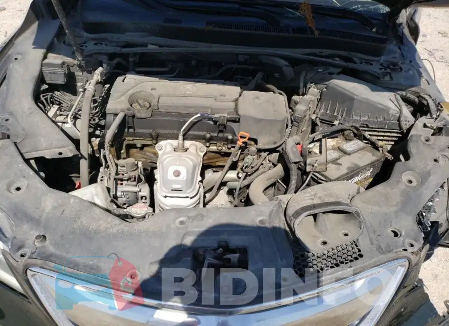 19UUB1F38FA016258 Photo# 11