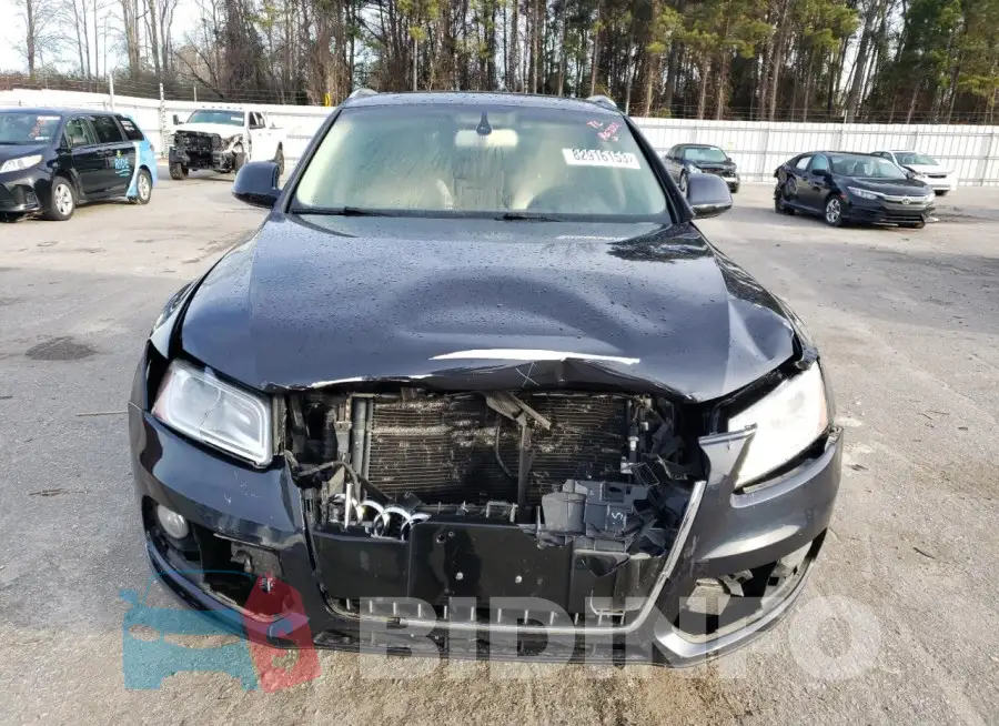 WA1CFAFP1FA113331 Photo# 5