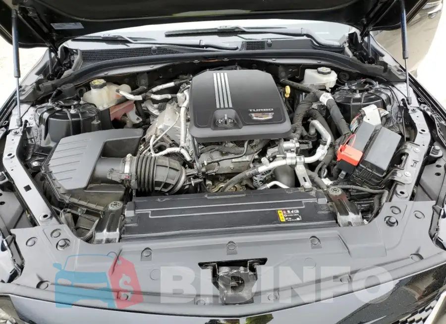 1G6DN5RK4M0109123 Photo# 11