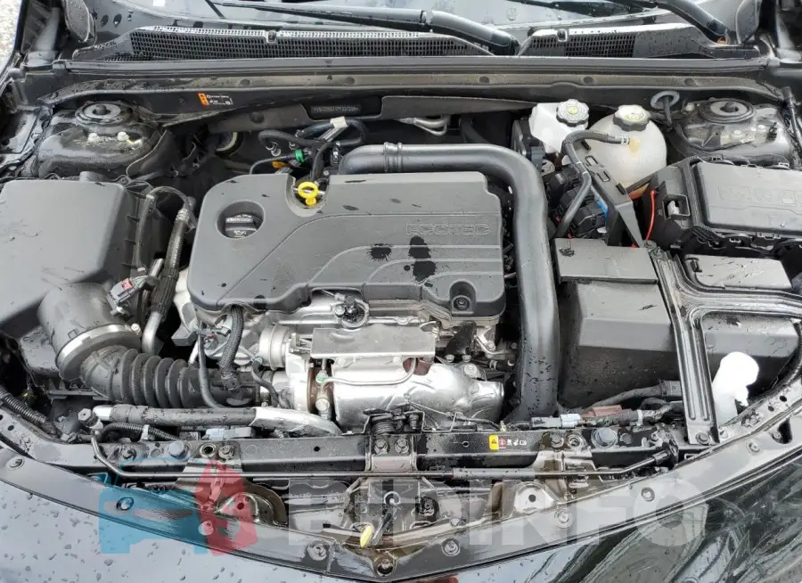 1G1ZD5ST1PF227259 Photo# 11