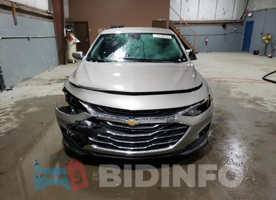 1G1ZD5ST6PF181461 Photo# 5