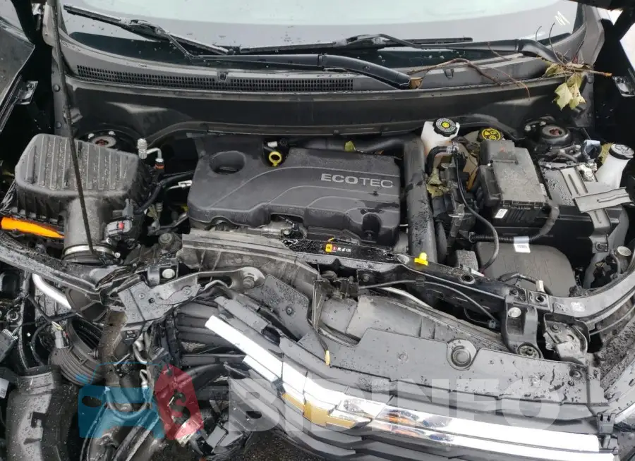 2GNAX5EV4N6118351 Photo# 11