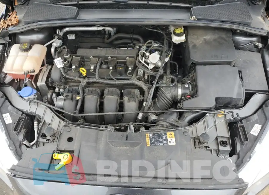 1FADP3K20HL210675 Photo# 11