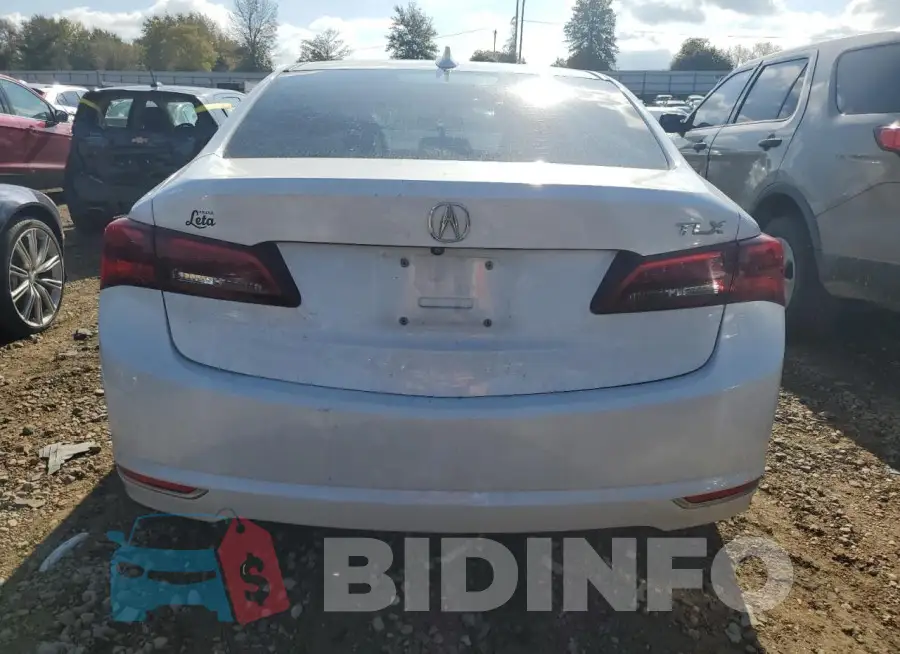 19UUB1F34FA025507 Photo# 6