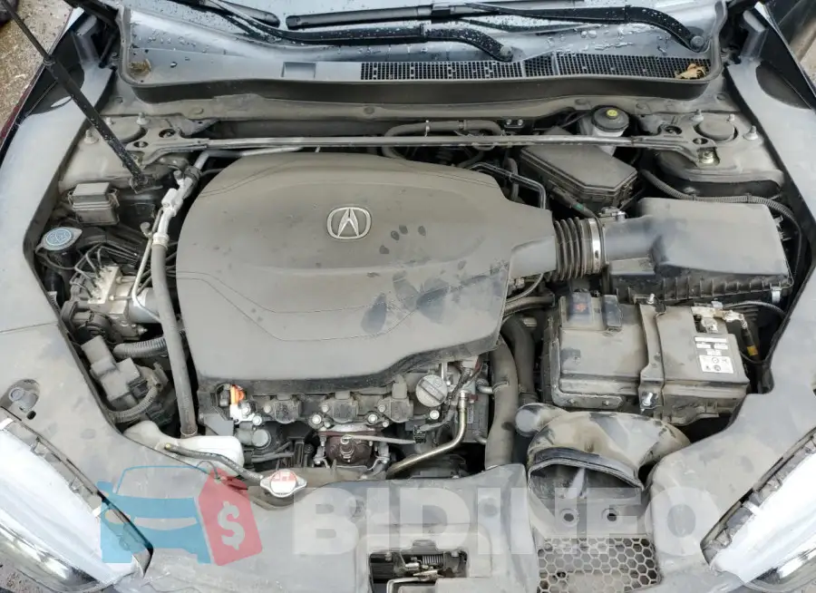 19UUB3F61KA000323 Photo# 11