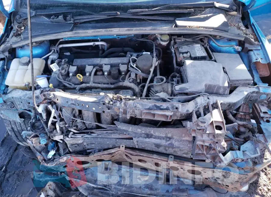 1FADP3F21GL239062 Photo# 11