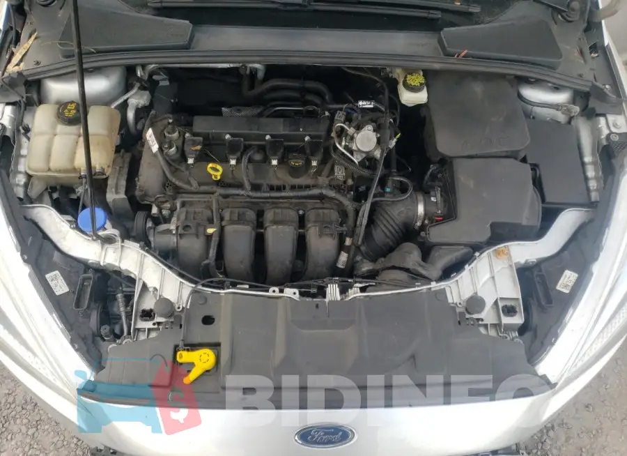 1FADP3F22HL242330 Photo# 11