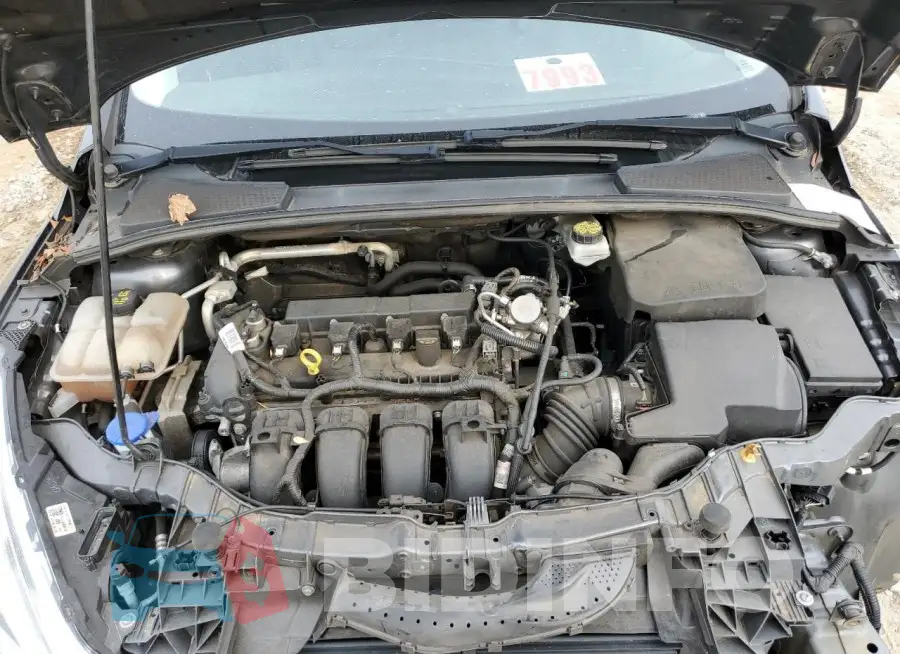 1FADP3J23HL251464 Photo# 11