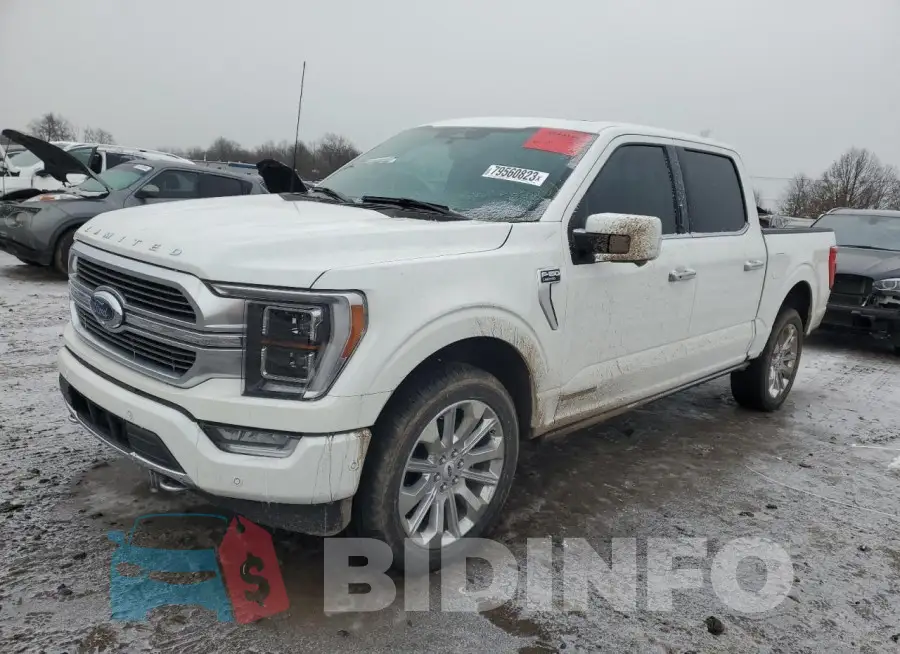 1FTFW1ED9PFB30649 Photo# 1
