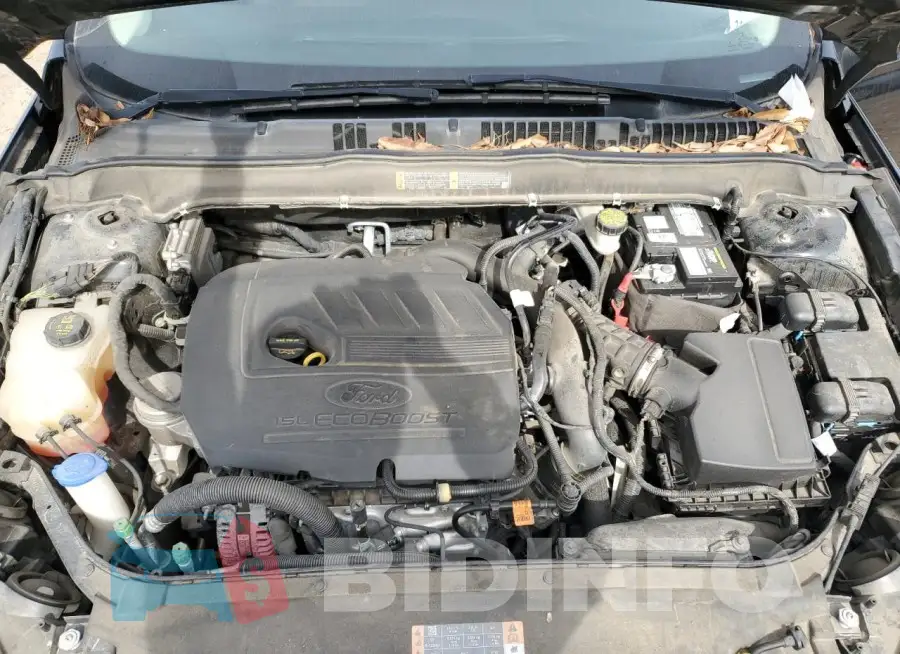 3FA6P0HD9HR240372 Photo# 11