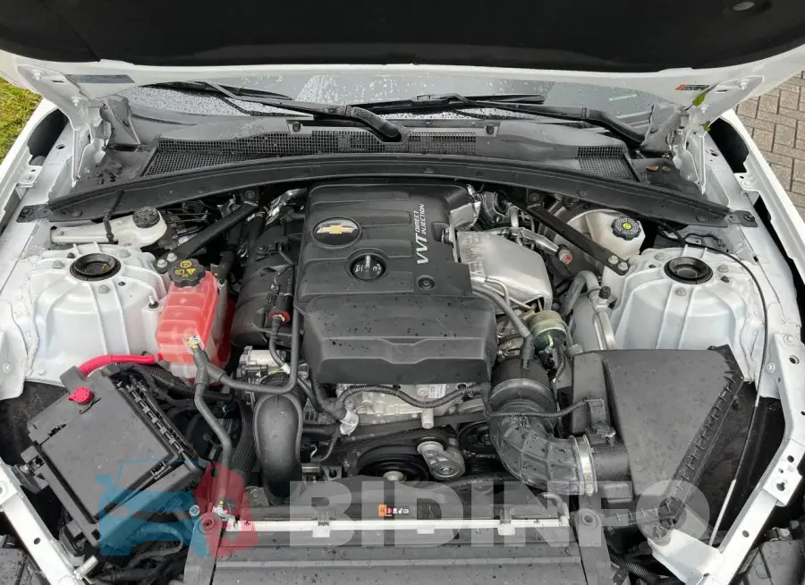 1G1FB1RX8N0119991 Photo# 7