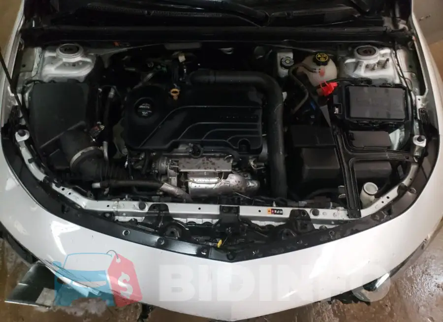 1G1ZD5ST6KF186751 Photo# 11