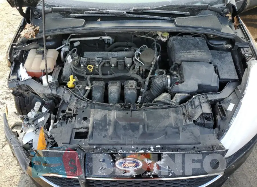 1FADP3F27GL224999 Photo# 11