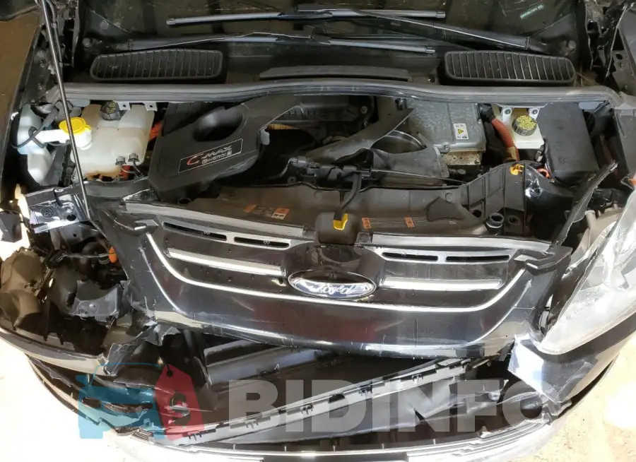 1FADP5CU0GL113213 Photo# 12