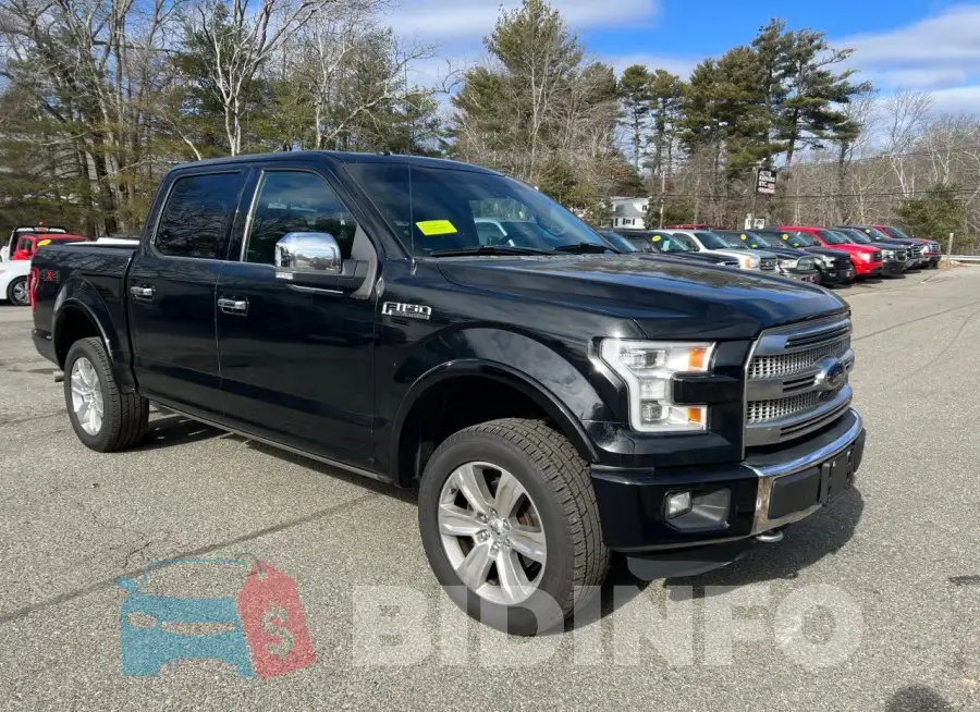 1FTEW1EF5GFB17393 Photo# 1