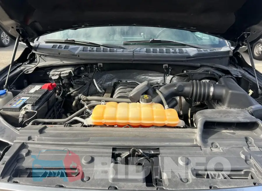 1FTEW1EF5GFB17393 Photo# 7