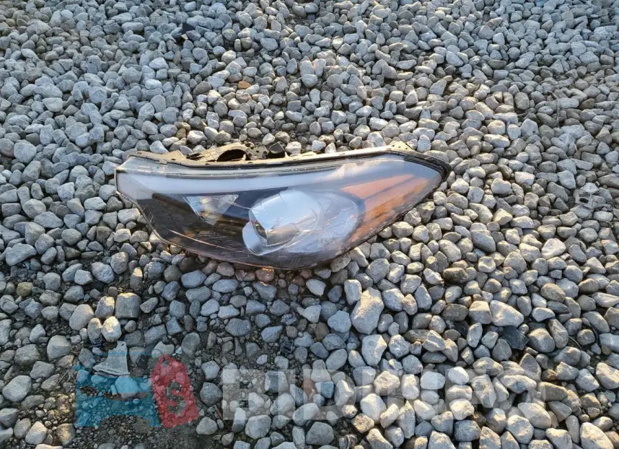 KNAFK4A62G5513999 Photo# 12