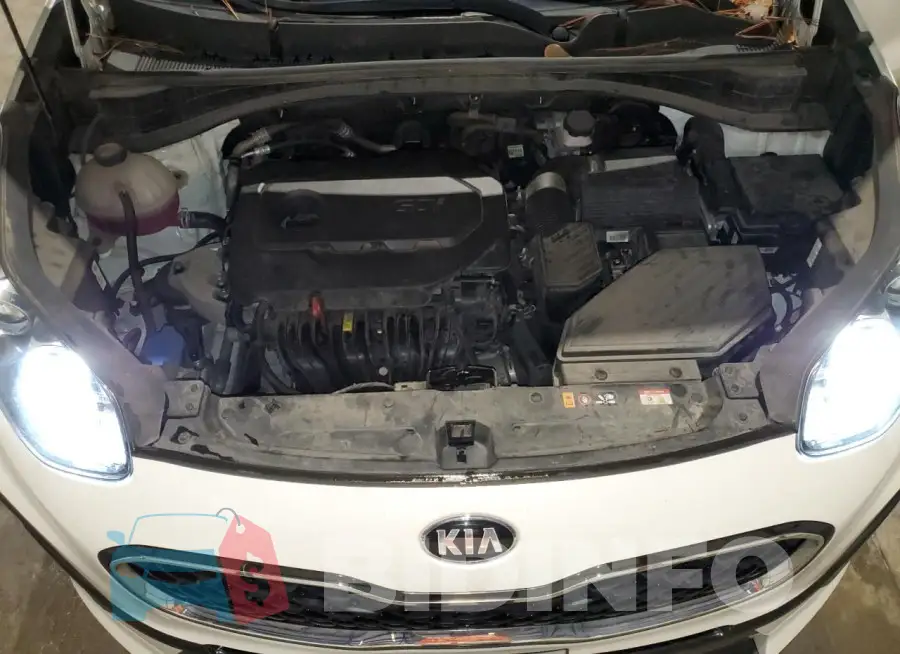 KNDPM3AC9M7931803 Photo# 11