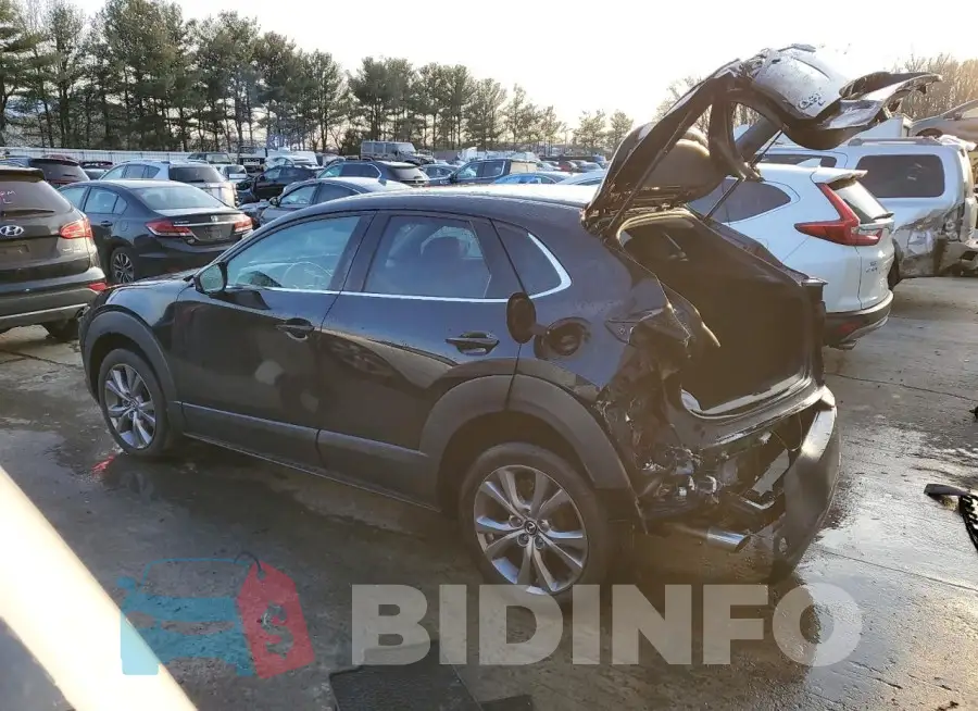 3MVDMBCL7LM109983 Photo# 2