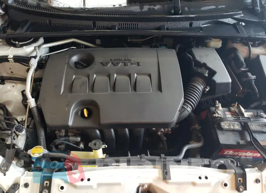 5YFBURHE4HP607084 Photo# 11