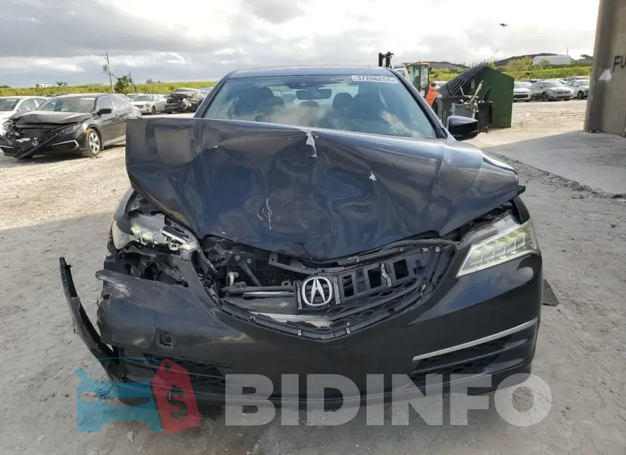 19UUB1F57FA017564 Photo# 5