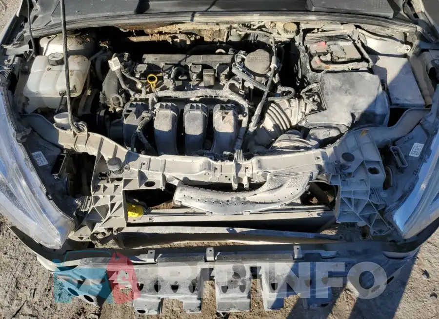 1FADP3J21GL245824 Photo# 11