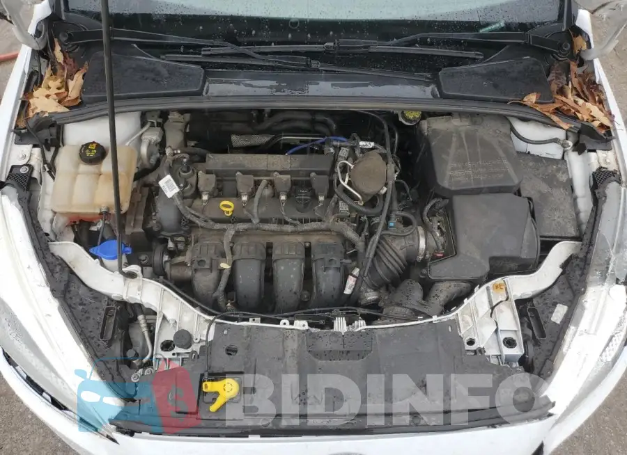 1FADP3K25FL301163 Photo# 11