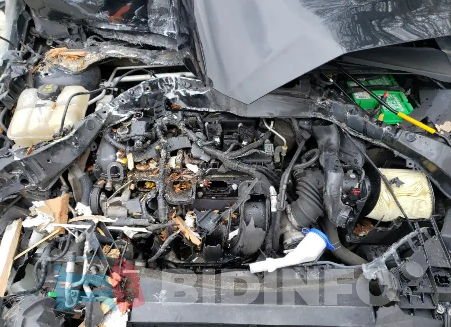 1FADP3K2XFL280441 Photo# 11