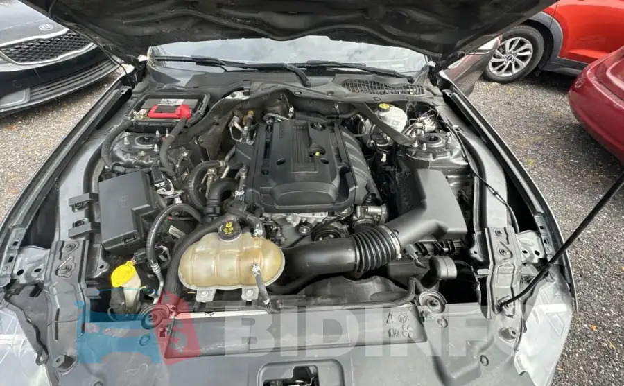 1FATP8UH3K5138523 Photo# 7