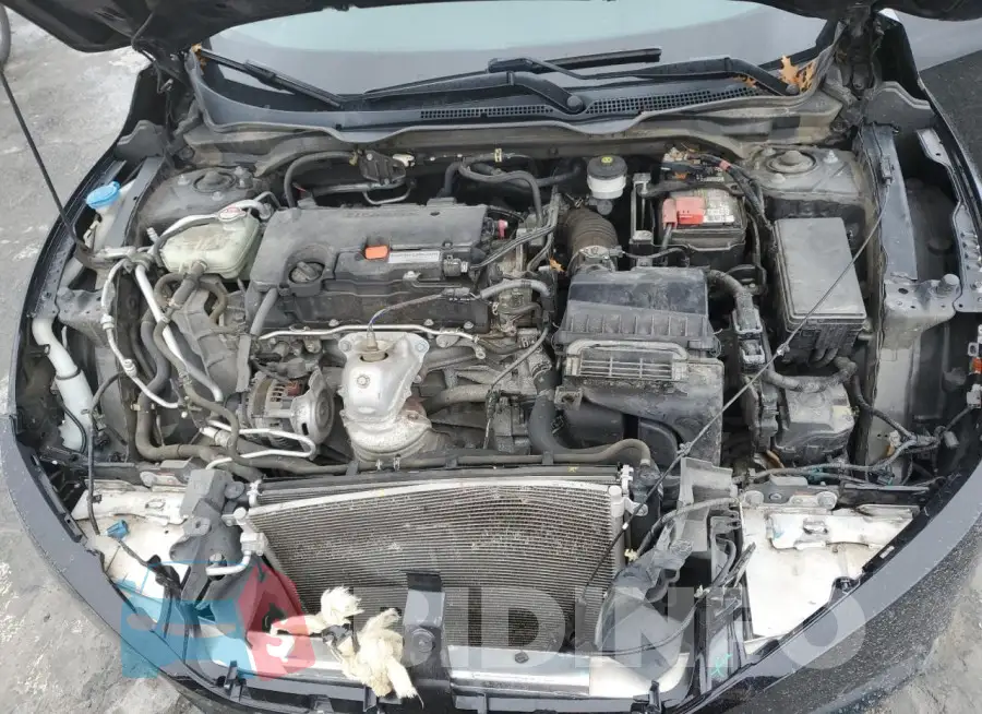19XFC2F52HE068822 Photo# 11