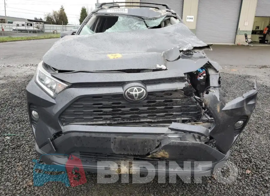 JTMW1RFV5KD502979 Photo# 5