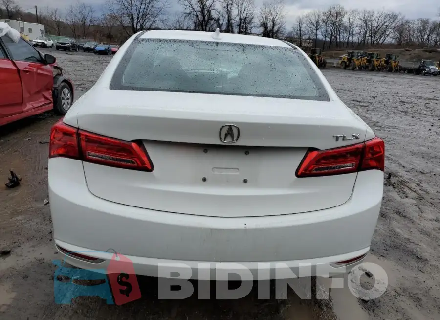 19UUB1F53JA001256 Photo# 6