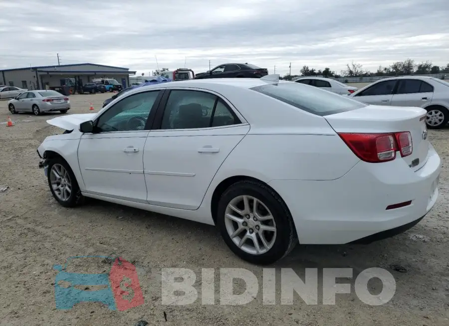 1G11C5SL8FF179094 Photo# 2