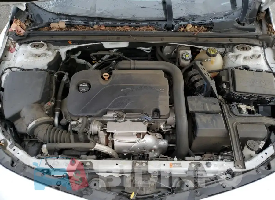 1G1ZB5ST0HF192690 Photo# 11