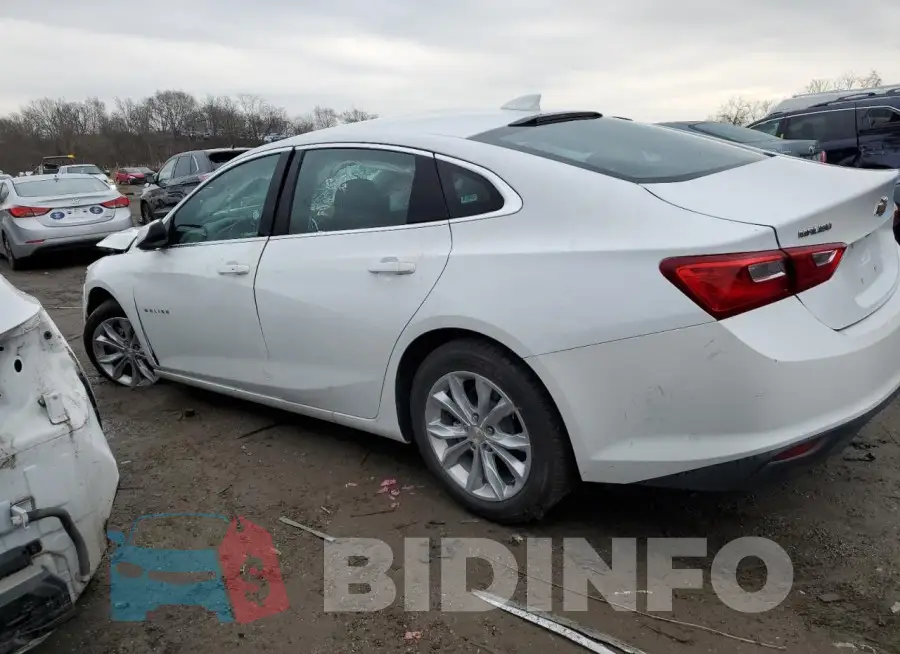 1G1ZD5ST3PF184186 Photo# 2