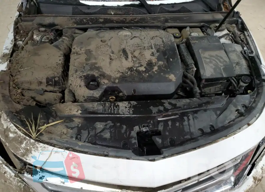 2G1105S3XJ9138749 Photo# 11