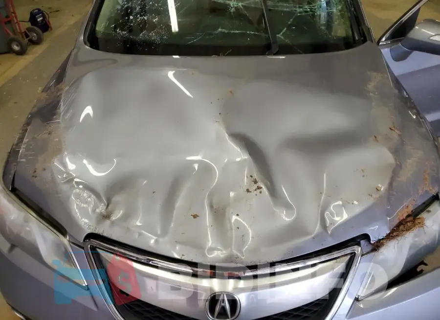 5J8TB4H51FL020054 Photo# 12