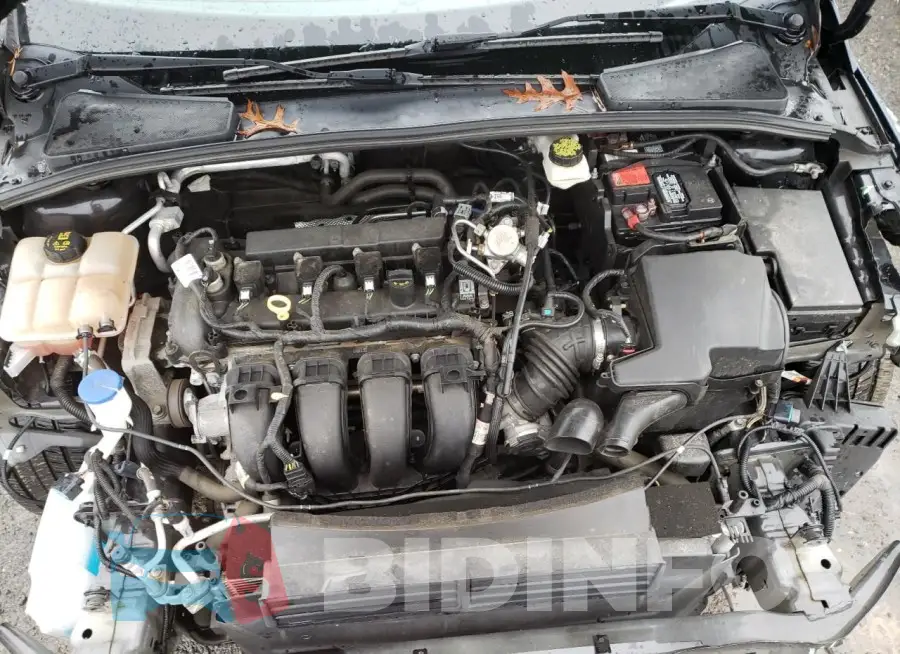 1FADP3F29JL228916 Photo# 11