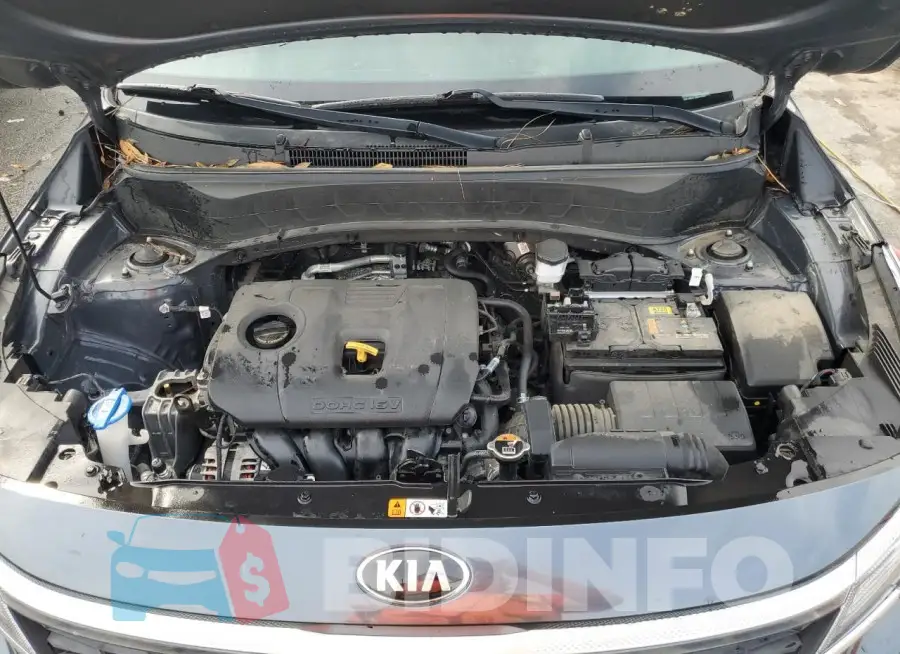 KNDERCAA3M7173044 Photo# 12
